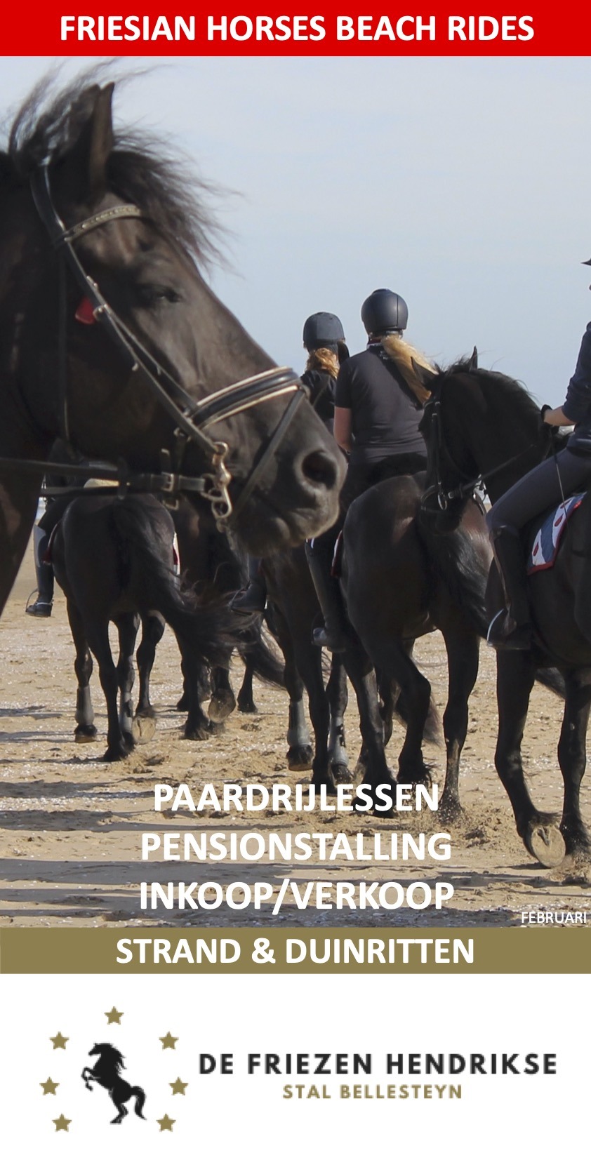 De Friezen Hendrikse Stal Bellesteyn februari
