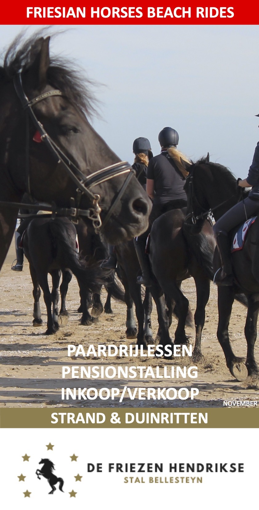 De Friezen Hendrikse Stal Bellesteyn november