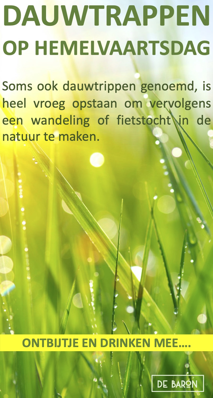 Dauwtrappen Wassenaar