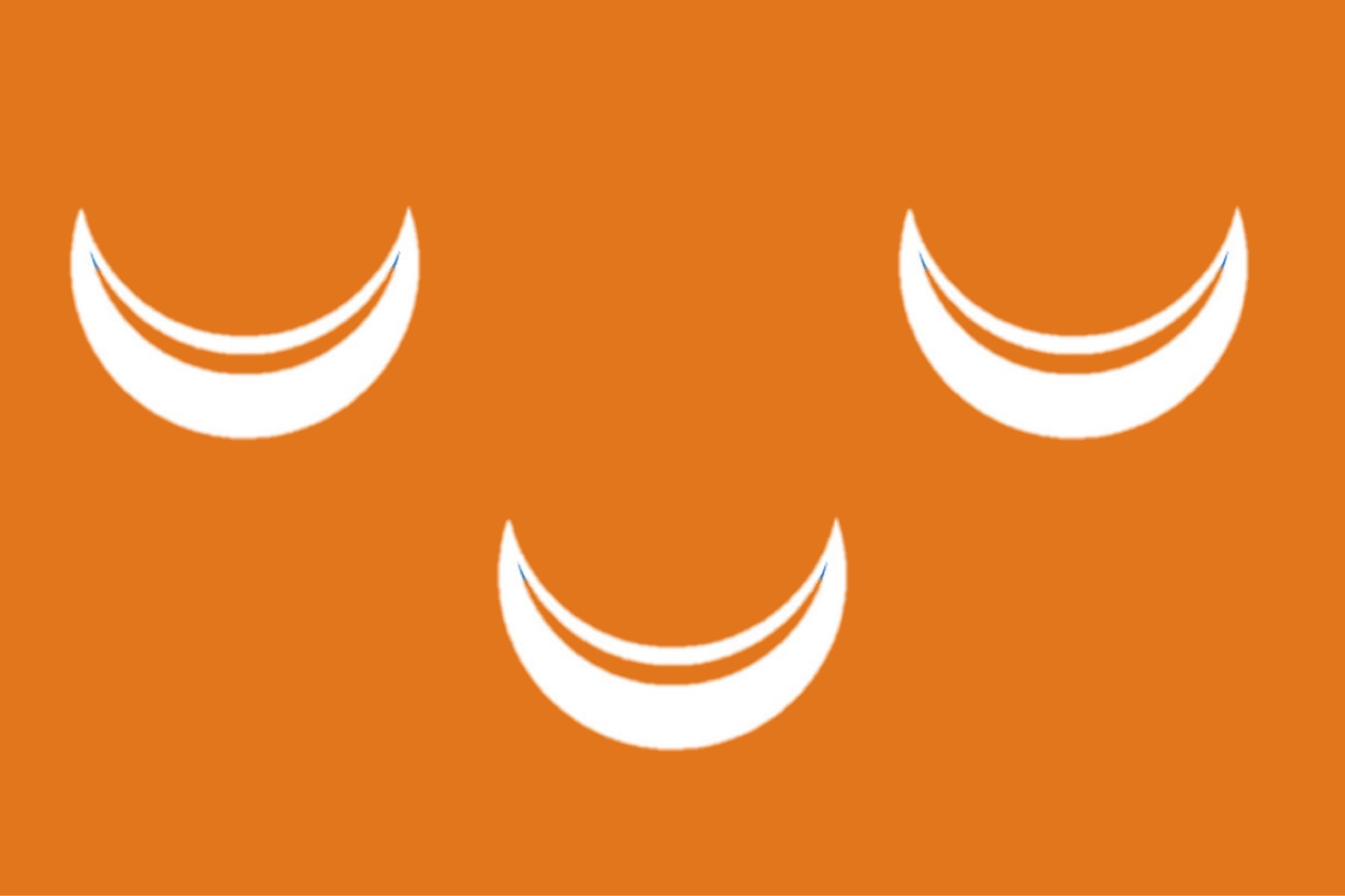 www.wassenaar.tips logo